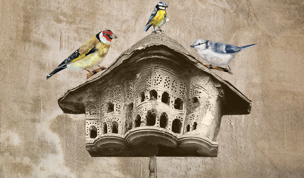 kuş evleri