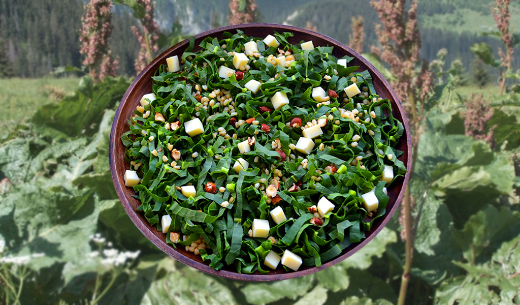 Halkbank Kültür ve Yaşam