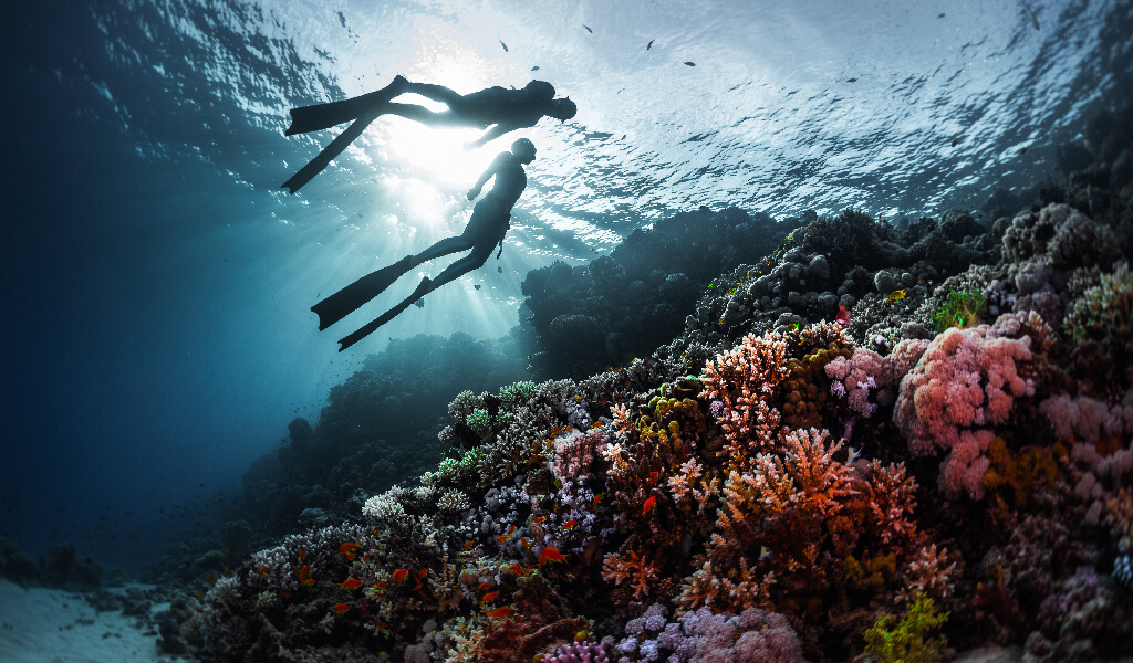 diving, dalış etkinlikleri