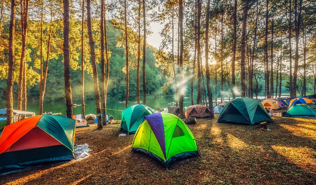 kamp, çadır