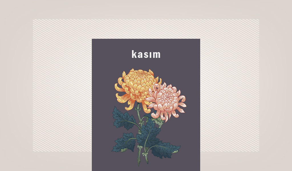 kasım