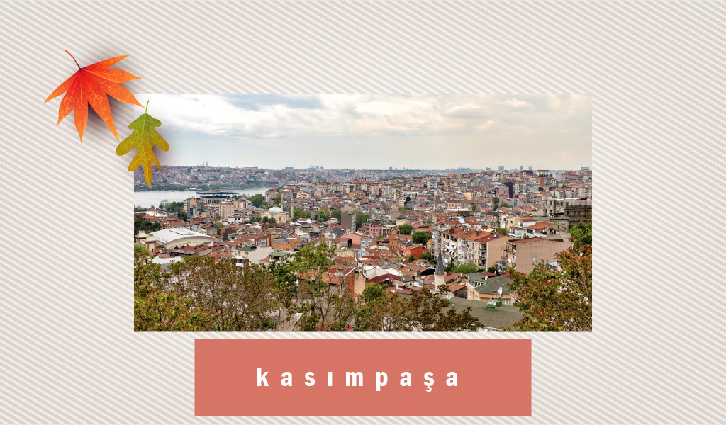 kasım